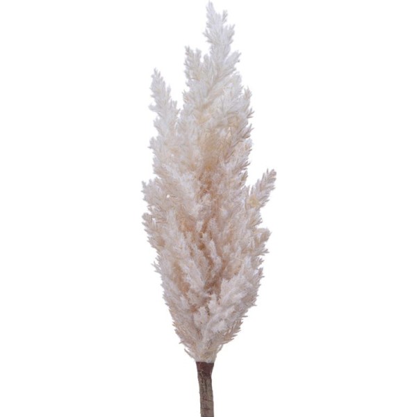 Pluma de pampa artificial ø9 x 90 cm